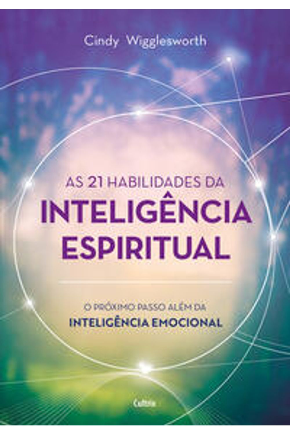 Livro Coquetel Desafios De Logica Ed 24 - 9788500508271